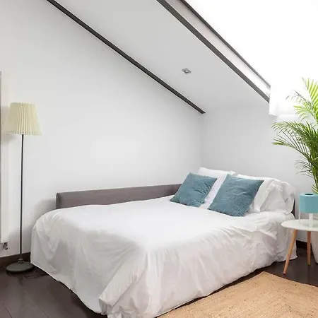 Cool Loft At Madrid Heart A Real Finding At Malasana-3